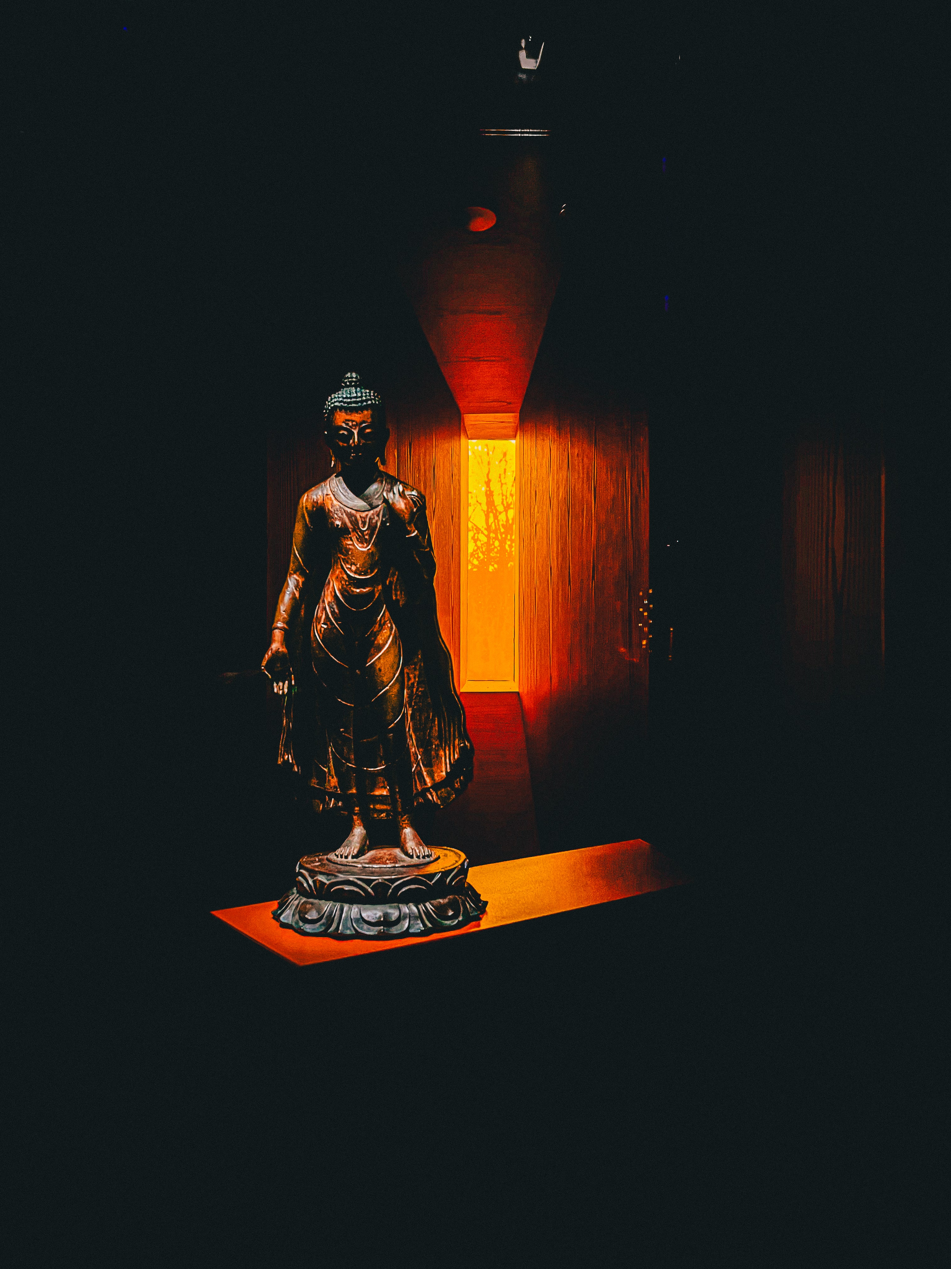 Exposition